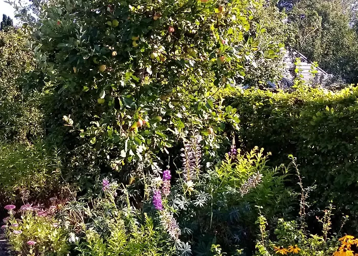 Haus Gartenidylle * Wesselburen